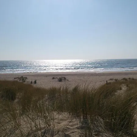 Family - Very Close To Sandy *