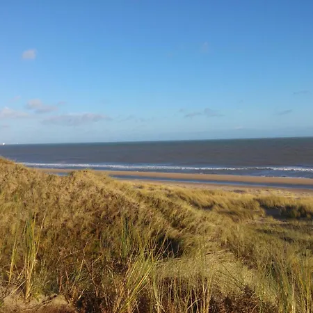 Family - Very Close To Sandy Gorey