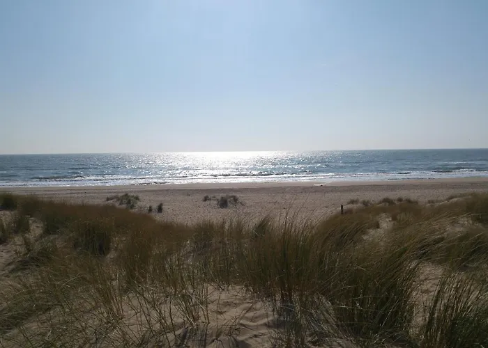 Family - Very Close To Sandy *